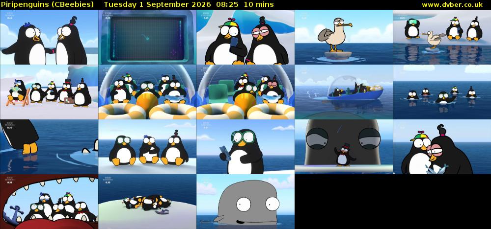 Piripenguins (CBeebies) Tuesday 1 September 2026 08:25 - 08:35