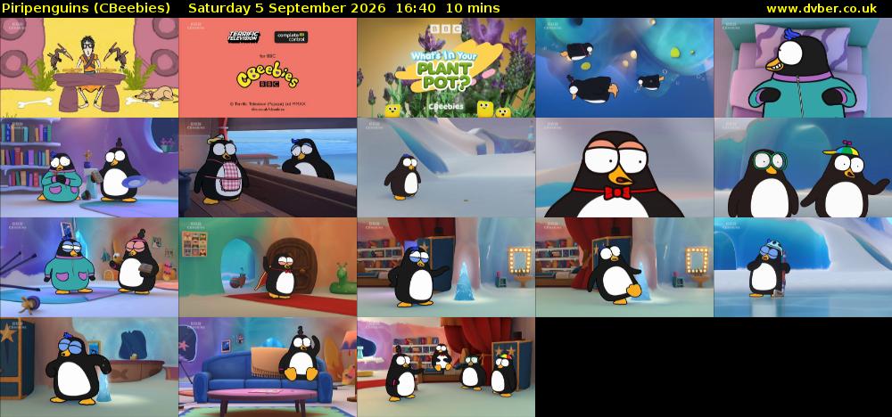 Piripenguins (CBeebies) Saturday 5 September 2026 16:40 - 16:50