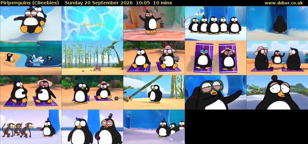 Piripenguins (CBeebies) Sunday 20 September 2026 10:05 - 10:15
