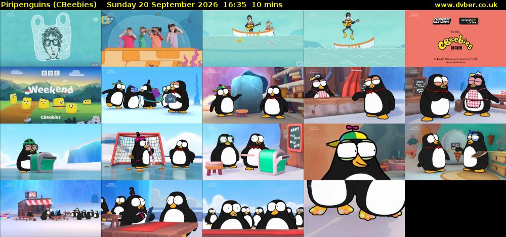 Piripenguins (CBeebies) Sunday 20 September 2026 16:35 - 16:45