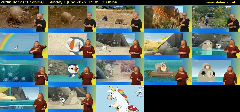 Puffin Rock (CBeebies) Sunday 1 June 2025 15:05 - 15:15