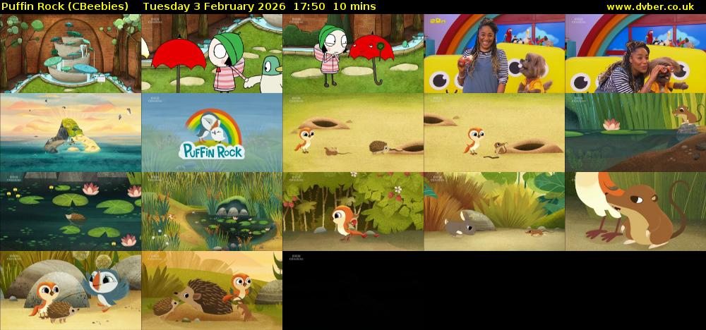 Puffin Rock (CBeebies) Tuesday 3 February 2026 17:50 - 18:00