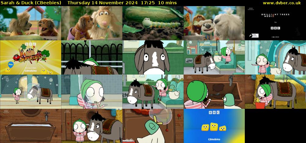 Sarah & Duck (CBeebies) Thursday 14 November 2024 17:25 - 17:35