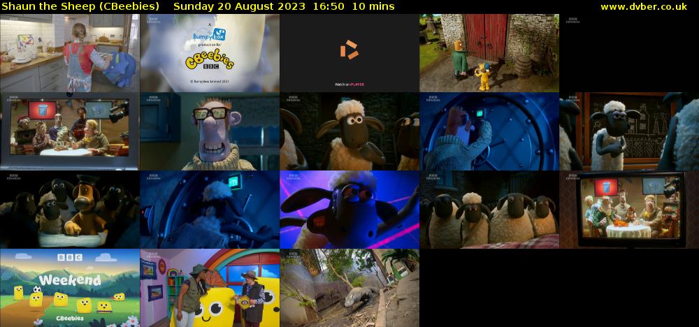 Shaun the Sheep (CBeebies) Sunday 20 August 2023 16:50 - 17:00