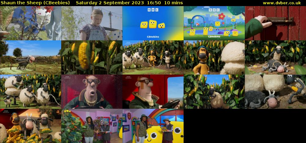 Shaun the Sheep (CBeebies) Saturday 2 September 2023 16:50 - 17:00
