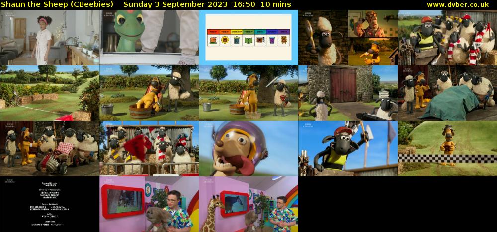 Shaun the Sheep (CBeebies) Sunday 3 September 2023 16:50 - 17:00