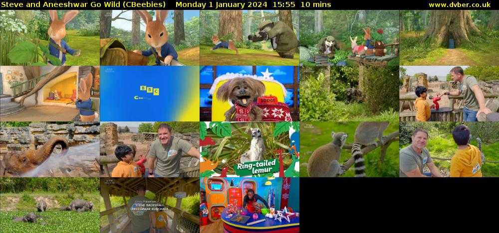 Steve and Aneeshwar Go Wild (CBeebies) Monday 1 January 2024 15:55 - 16:05