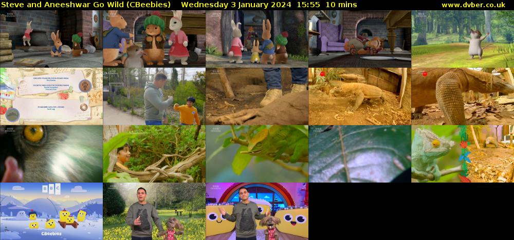 Steve and Aneeshwar Go Wild (CBeebies) Wednesday 3 January 2024 15:55 - 16:05