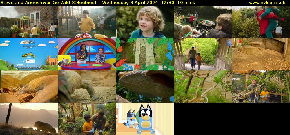Steve and Aneeshwar Go Wild (CBeebies) Wednesday 3 April 2024 12:30 - 12:40
