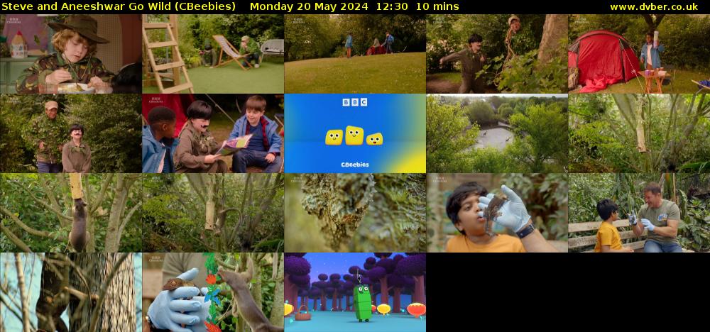 Steve and Aneeshwar Go Wild (CBeebies) Monday 20 May 2024 12:30 - 12:40