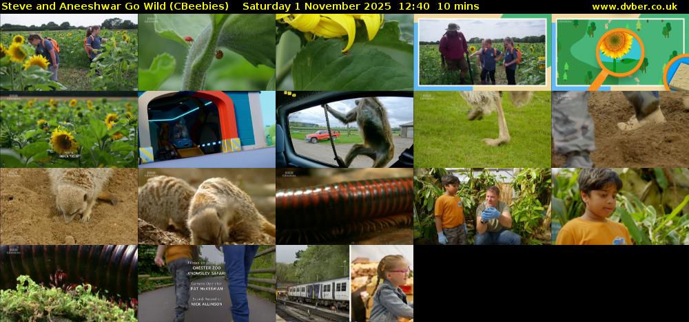 Steve and Aneeshwar Go Wild (CBeebies) Saturday 1 November 2025 12:40 - 12:50