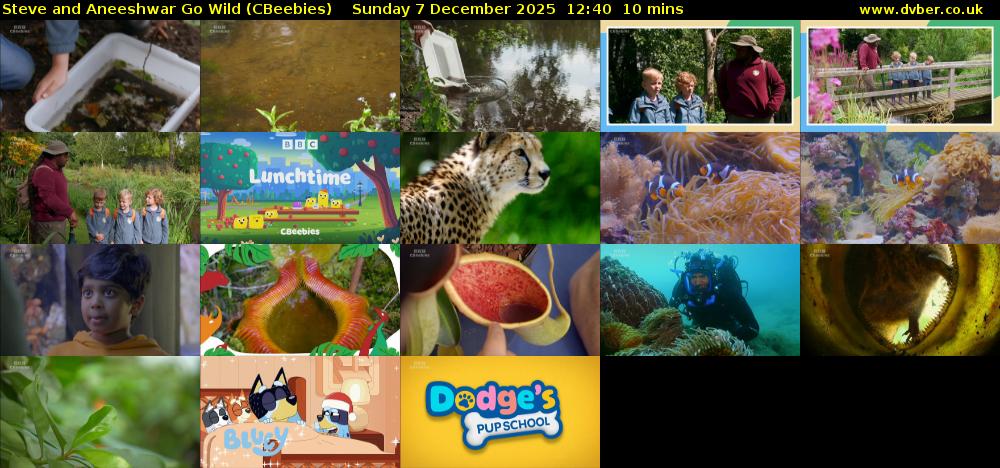 Steve and Aneeshwar Go Wild (CBeebies) Sunday 7 December 2025 12:40 - 12:50