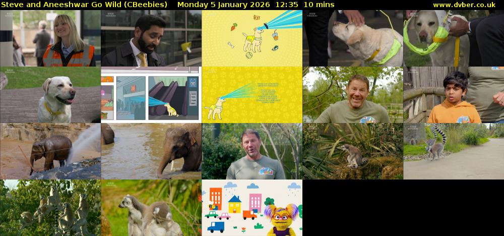 Steve and Aneeshwar Go Wild (CBeebies) Monday 5 January 2026 12:35 - 12:45