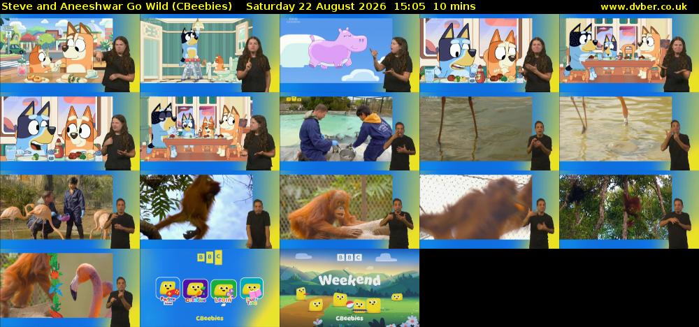 Steve and Aneeshwar Go Wild (CBeebies) Saturday 22 August 2026 15:05 - 15:15