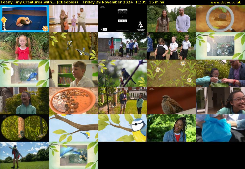 Teeny Tiny Creatures with... (CBeebies) Friday 29 November 2024 11:35 - 11:50