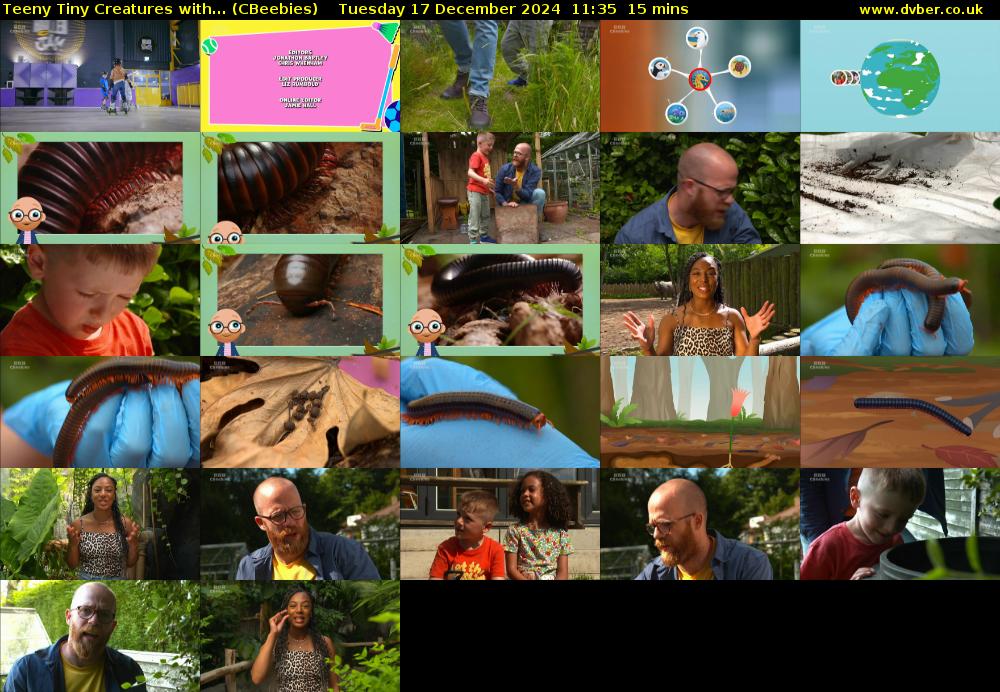 Teeny Tiny Creatures with... (CBeebies) Tuesday 17 December 2024 11:35 - 11:50