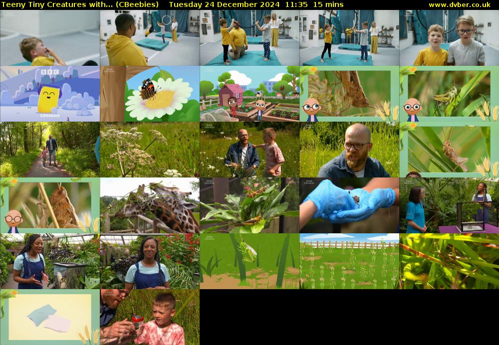 Teeny Tiny Creatures with... (CBeebies) Tuesday 24 December 2024 11:35 - 11:50
