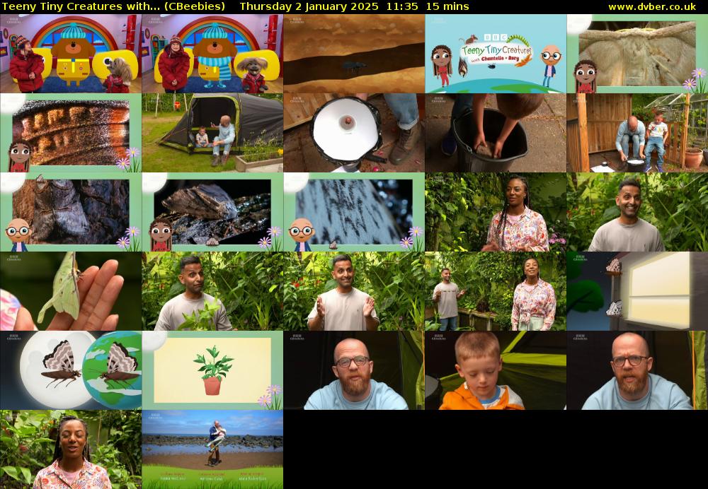 Teeny Tiny Creatures with... (CBeebies) Thursday 2 January 2025 11:35 - 11:50