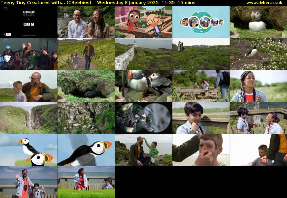 Teeny Tiny Creatures with... (CBeebies) Wednesday 8 January 2025 11:35 - 11:50