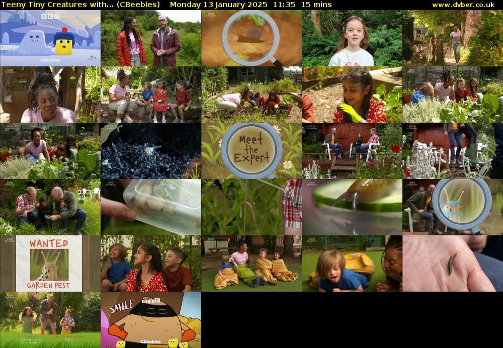 Teeny Tiny Creatures with... (CBeebies) Monday 13 January 2025 11:35 - 11:50