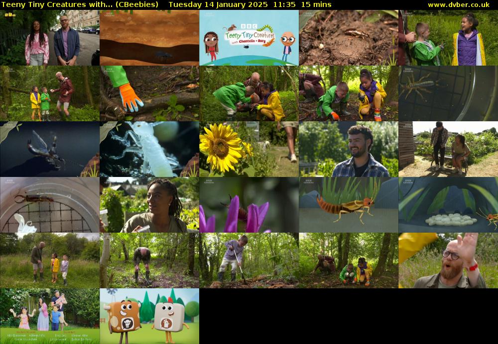 Teeny Tiny Creatures with... (CBeebies) Tuesday 14 January 2025 11:35 - 11:50