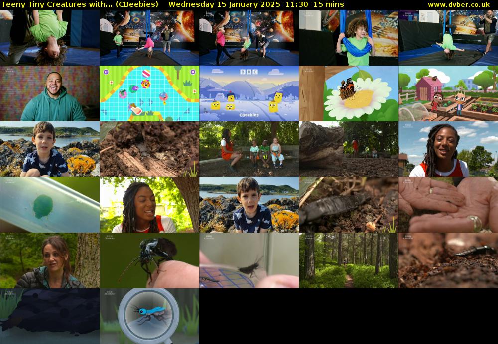 Teeny Tiny Creatures with... (CBeebies) Wednesday 15 January 2025 11:30 - 11:45
