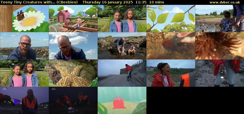 Teeny Tiny Creatures with... (CBeebies) Thursday 16 January 2025 11:35 - 11:45