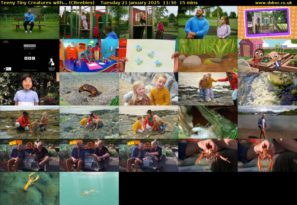 Teeny Tiny Creatures with... (CBeebies) Tuesday 21 January 2025 11:30 - 11:45