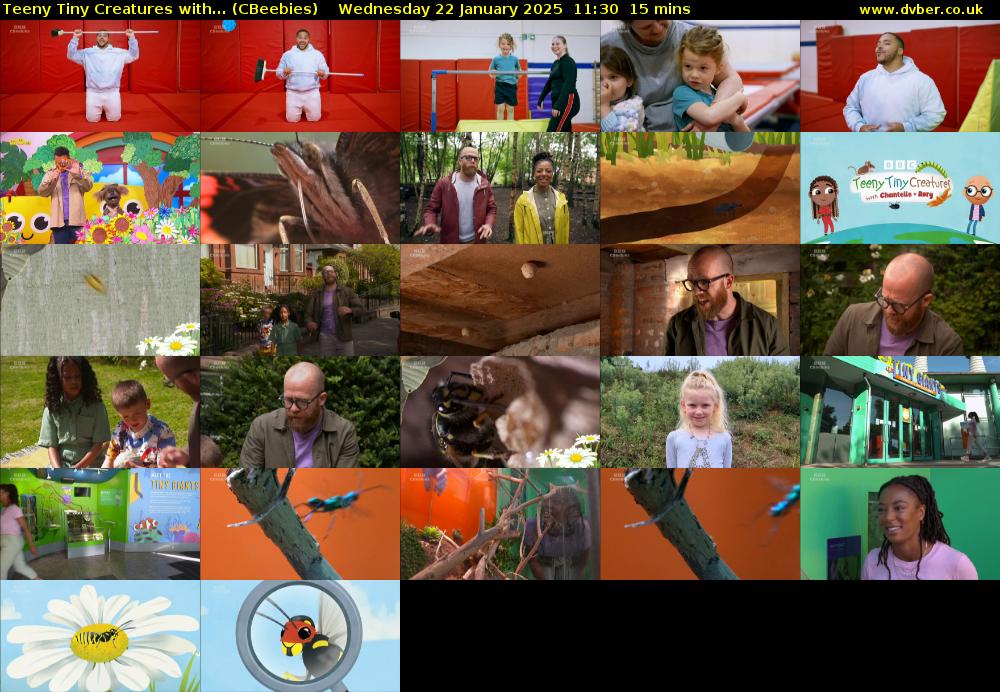 Teeny Tiny Creatures with... (CBeebies) Wednesday 22 January 2025 11:30 - 11:45