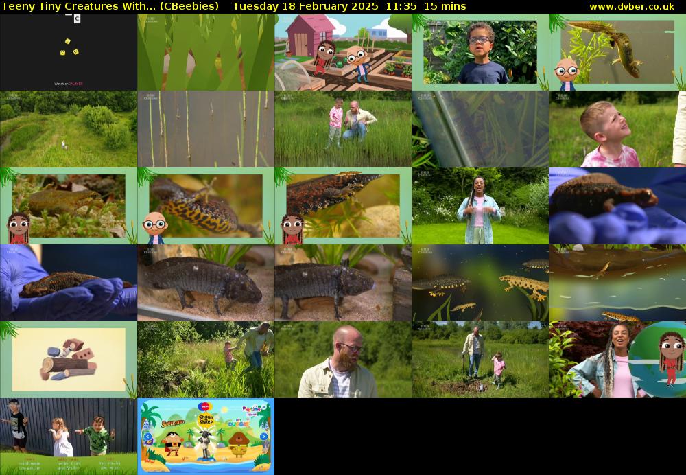 Teeny Tiny Creatures with... (CBeebies) Tuesday 18 February 2025 11:35 - 11:50