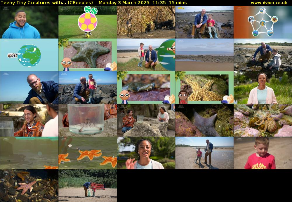 Teeny Tiny Creatures with... (CBeebies) Monday 3 March 2025 11:35 - 11:50