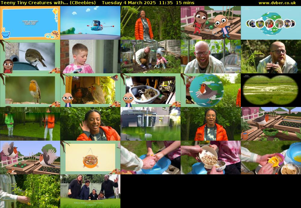 Teeny Tiny Creatures with... (CBeebies) Tuesday 4 March 2025 11:35 - 11:50