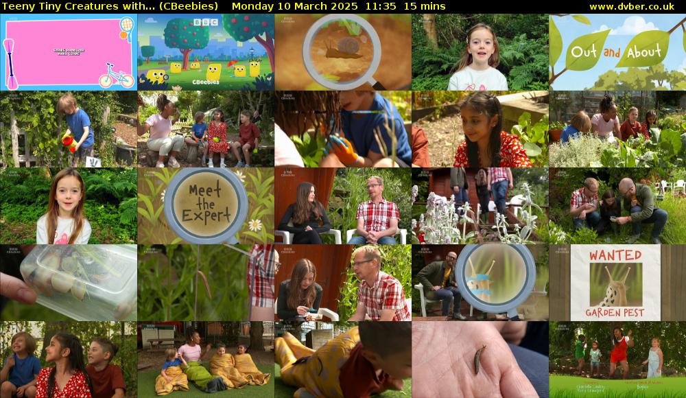 Teeny Tiny Creatures with... (CBeebies) Monday 10 March 2025 11:35 - 11:50