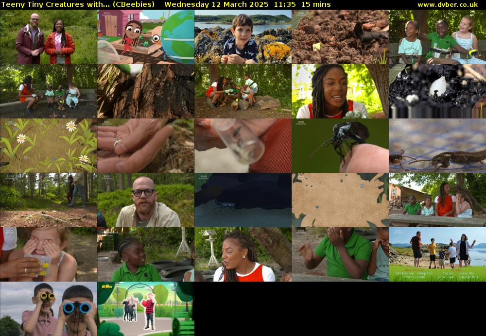 Teeny Tiny Creatures with... (CBeebies) Wednesday 12 March 2025 11:35 - 11:50