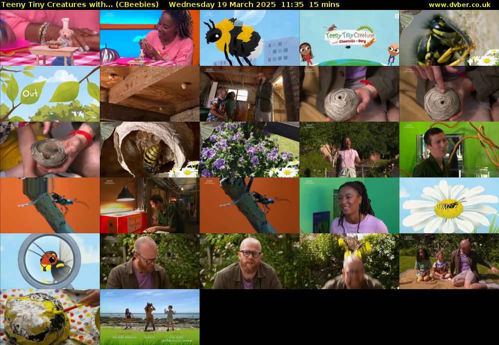 Teeny Tiny Creatures with... (CBeebies) Wednesday 19 March 2025 11:35 - 11:50
