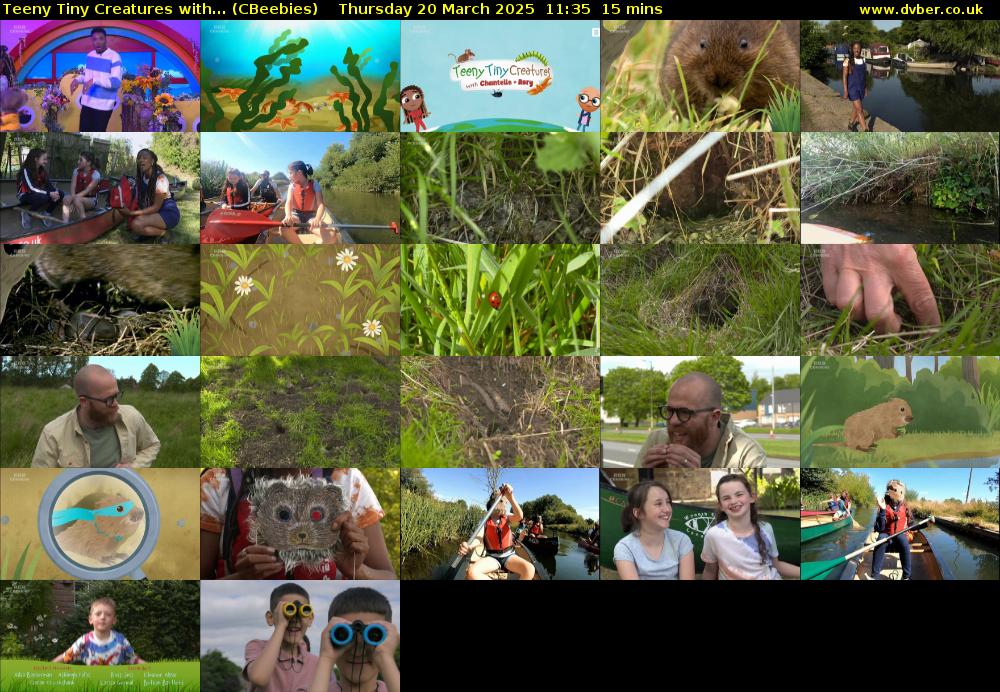 Teeny Tiny Creatures with... (CBeebies) Thursday 20 March 2025 11:35 - 11:50