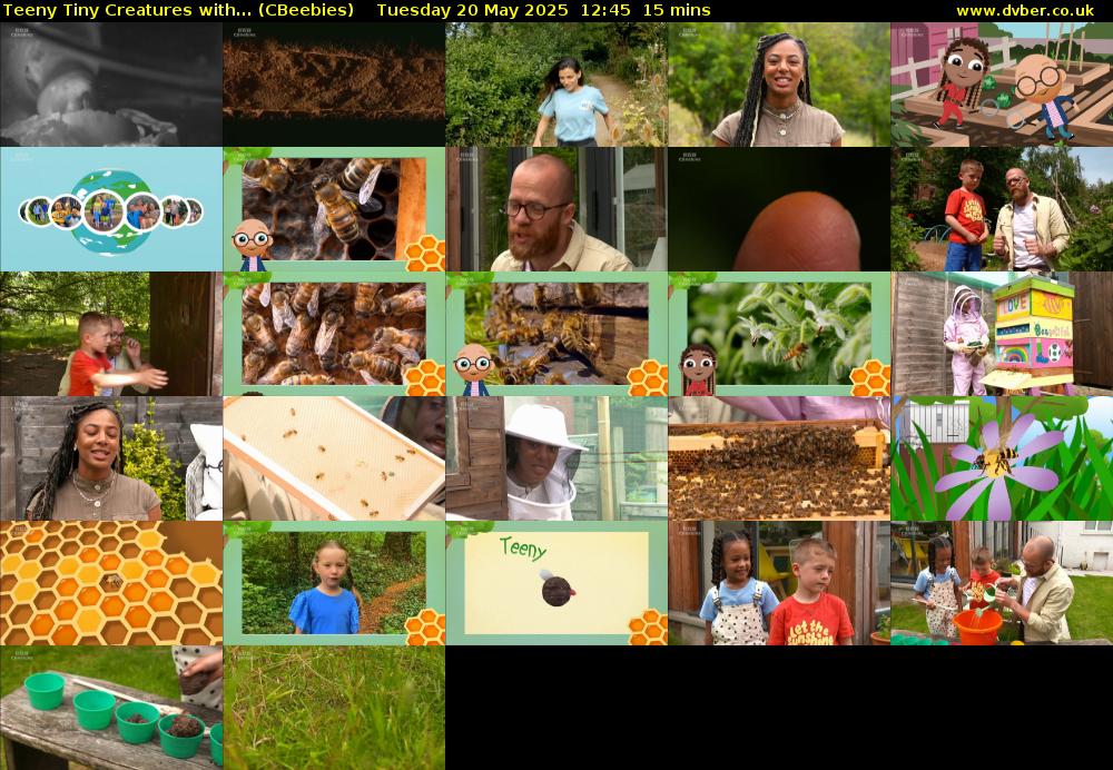 Teeny Tiny Creatures with... (CBeebies) Tuesday 20 May 2025 12:45 - 13:00