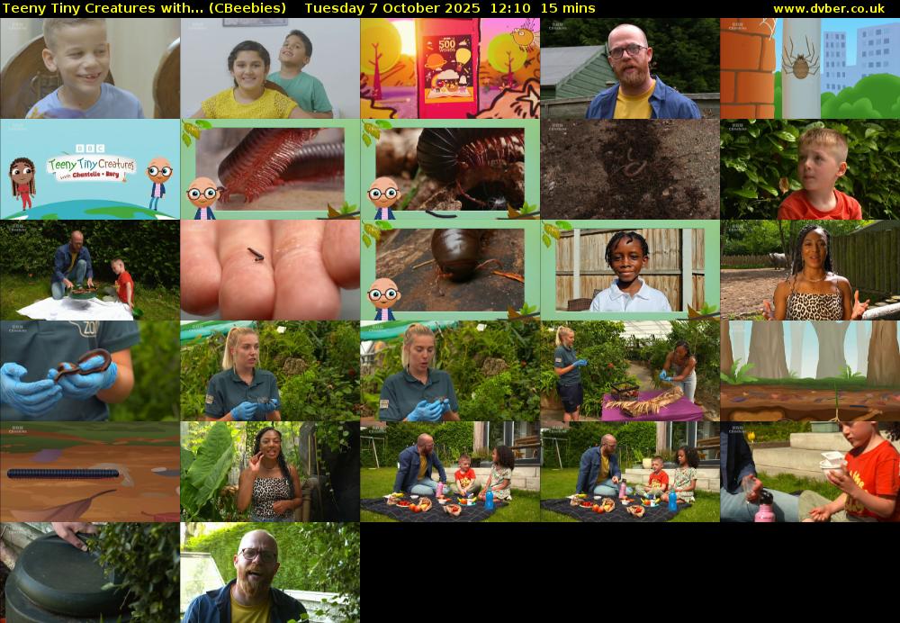 Teeny Tiny Creatures with... (CBeebies) Tuesday 7 October 2025 12:10 - 12:25