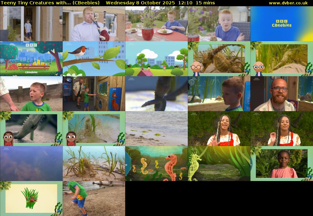 Teeny Tiny Creatures with... (CBeebies) Wednesday 8 October 2025 12:10 - 12:25