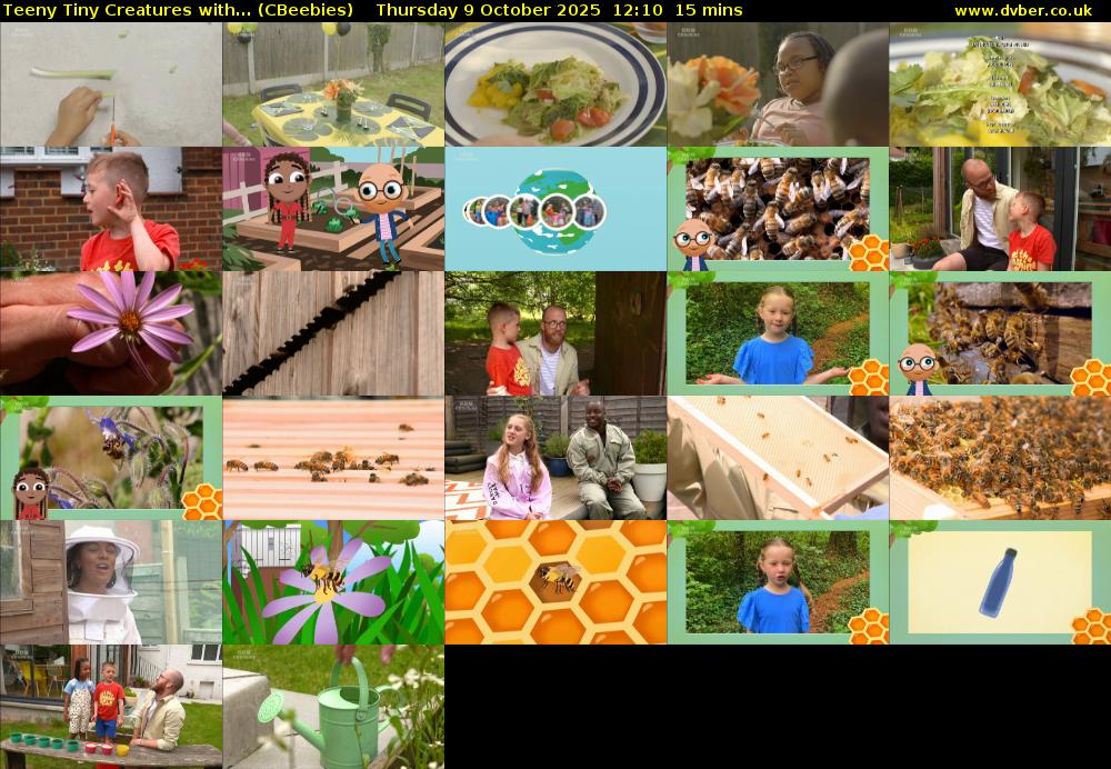 Teeny Tiny Creatures with... (CBeebies) Thursday 9 October 2025 12:10 - 12:25