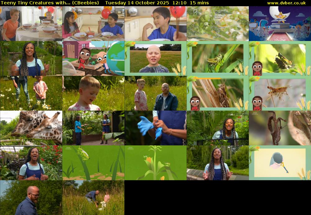 Teeny Tiny Creatures with... (CBeebies) Tuesday 14 October 2025 12:10 - 12:25