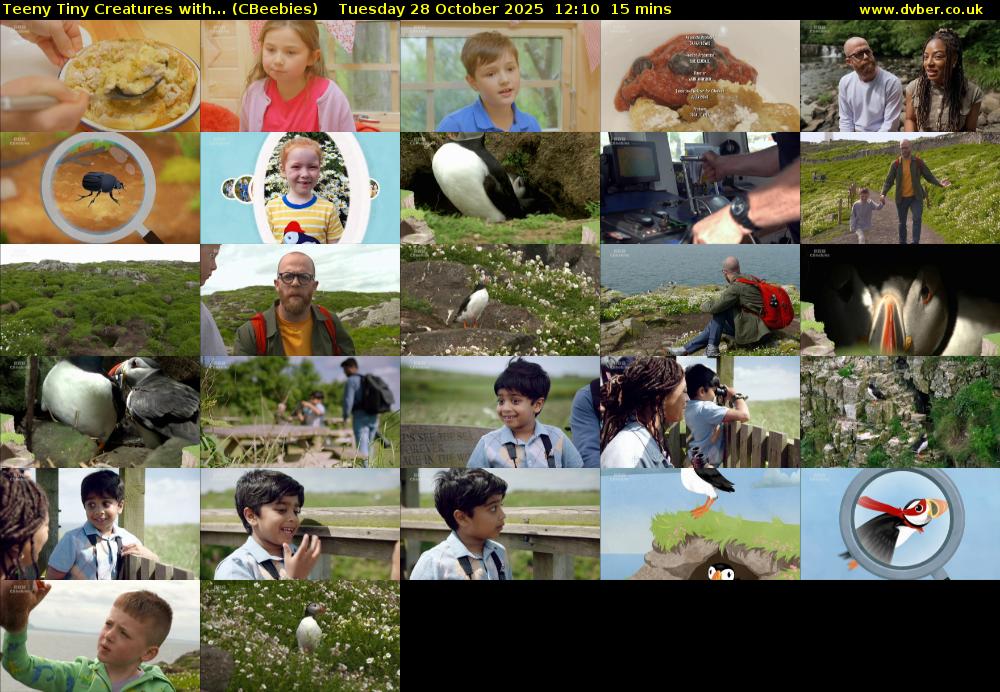 Teeny Tiny Creatures with... (CBeebies) Tuesday 28 October 2025 12:10 - 12:25