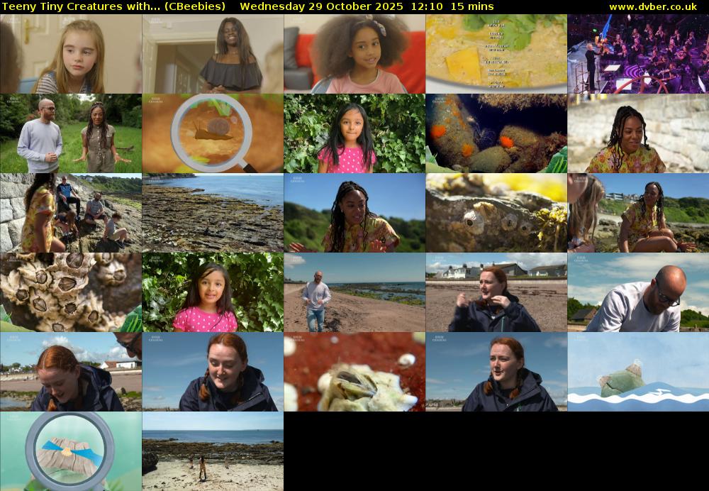 Teeny Tiny Creatures with... (CBeebies) Wednesday 29 October 2025 12:10 - 12:25