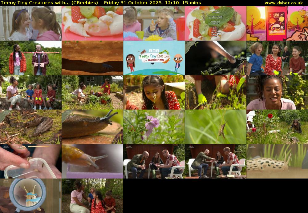 Teeny Tiny Creatures with... (CBeebies) Friday 31 October 2025 12:10 - 12:25
