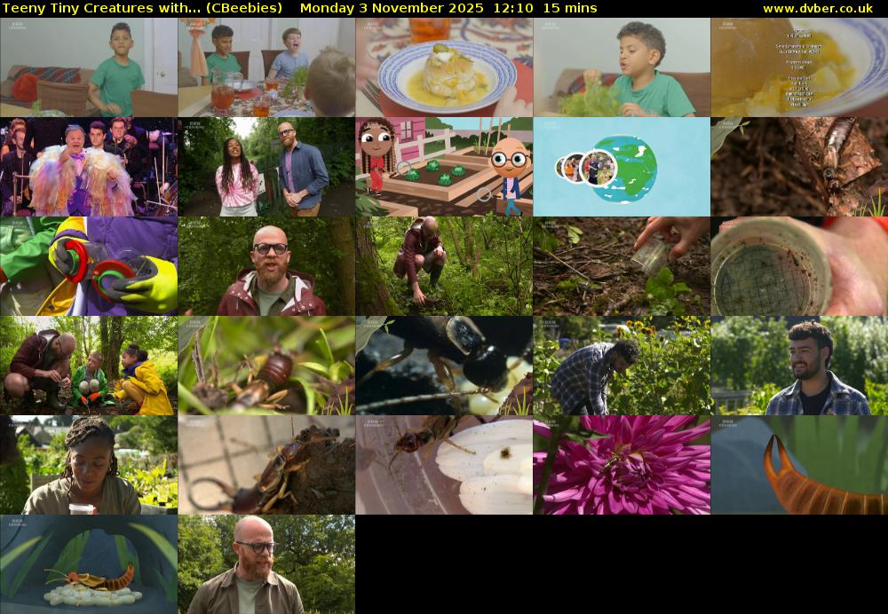 Teeny Tiny Creatures with... (CBeebies) Monday 3 November 2025 12:10 - 12:25