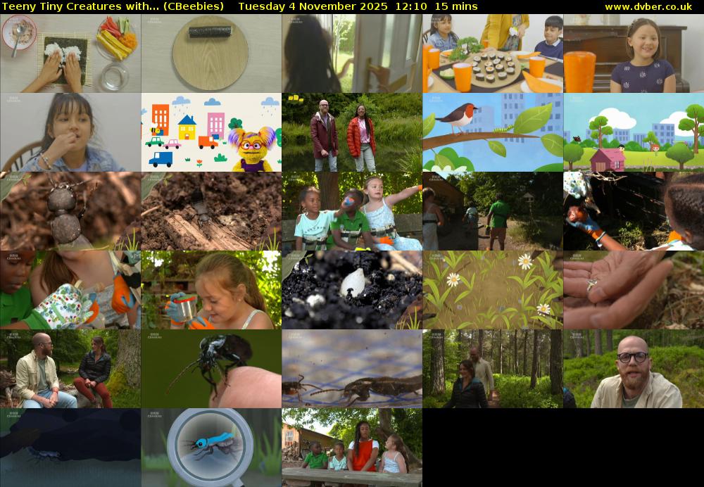 Teeny Tiny Creatures with... (CBeebies) Tuesday 4 November 2025 12:10 - 12:25