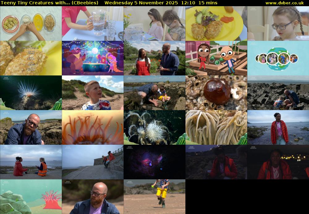 Teeny Tiny Creatures with... (CBeebies) Wednesday 5 November 2025 12:10 - 12:25