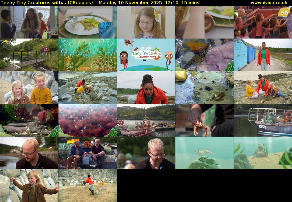 Teeny Tiny Creatures with... (CBeebies) Monday 10 November 2025 12:10 - 12:25
