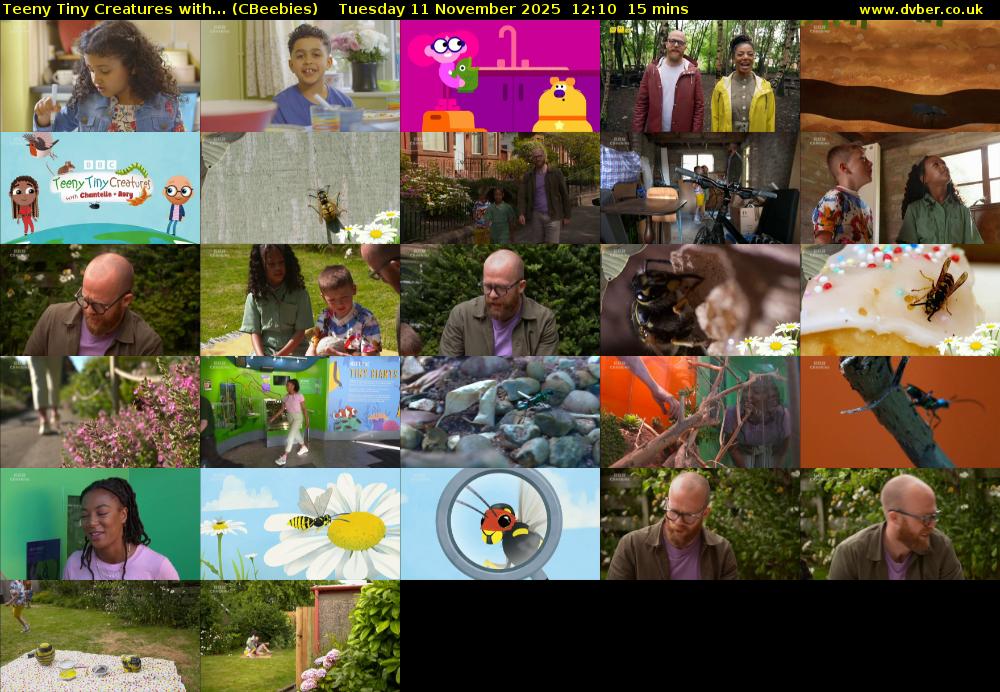 Teeny Tiny Creatures with... (CBeebies) Tuesday 11 November 2025 12:10 - 12:25