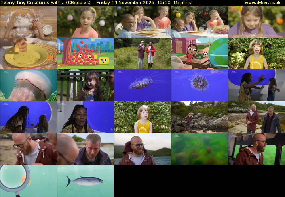 Teeny Tiny Creatures with... (CBeebies) Friday 14 November 2025 12:10 - 12:25